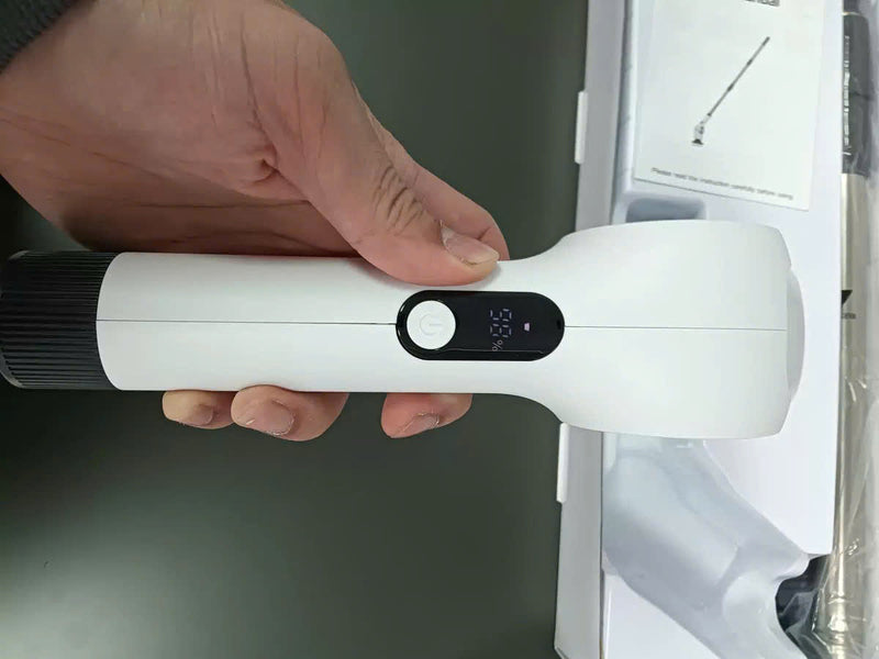Chelsea Porter